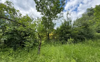 Teren intravilan 1859 mp Plaiu Provita de Sus la asfalt ! - Poză 15