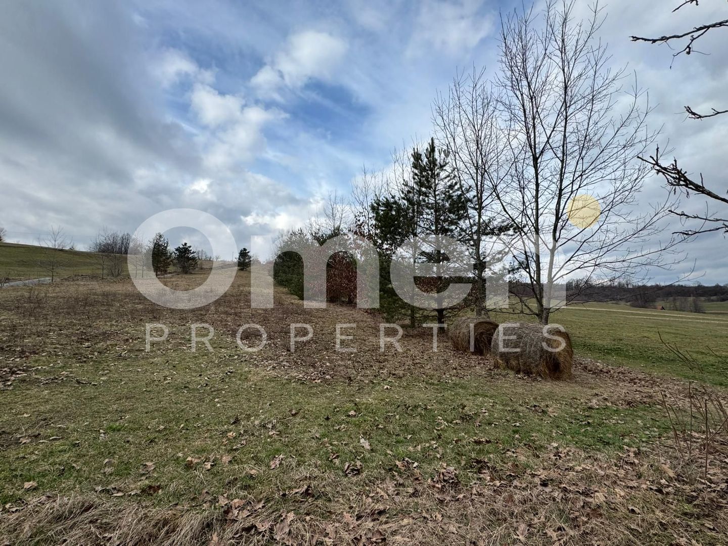 Teren de vânzare | 3423 mp | Copalnic | la drum principal - Poză 2