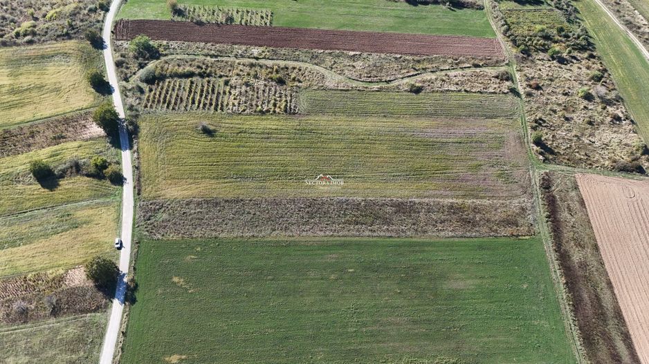 NECTORA IMOB-Teren Saldabagiu de Munte, aproape de Lac Paleu, 2880mp - Poză 11