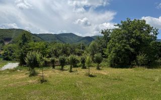 Teren Intravilan 650 mp de Vanzare in Tocile - Poză 2
