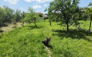 Casa cu teren de 536 mp in Ceptura de Jos - Poză 7