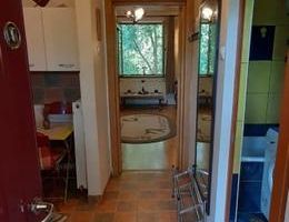 Garsonieră în vilă, terasă 10 mp, curte proprie, mobilată complet, Baba Novac - Poză 7