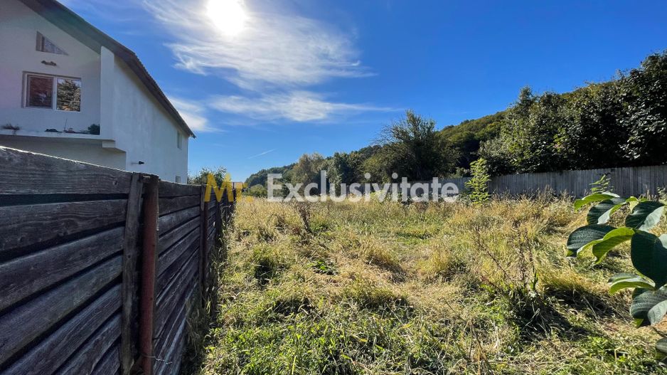 Teren 1220mp intravilan Bascov, AG - Poză 4