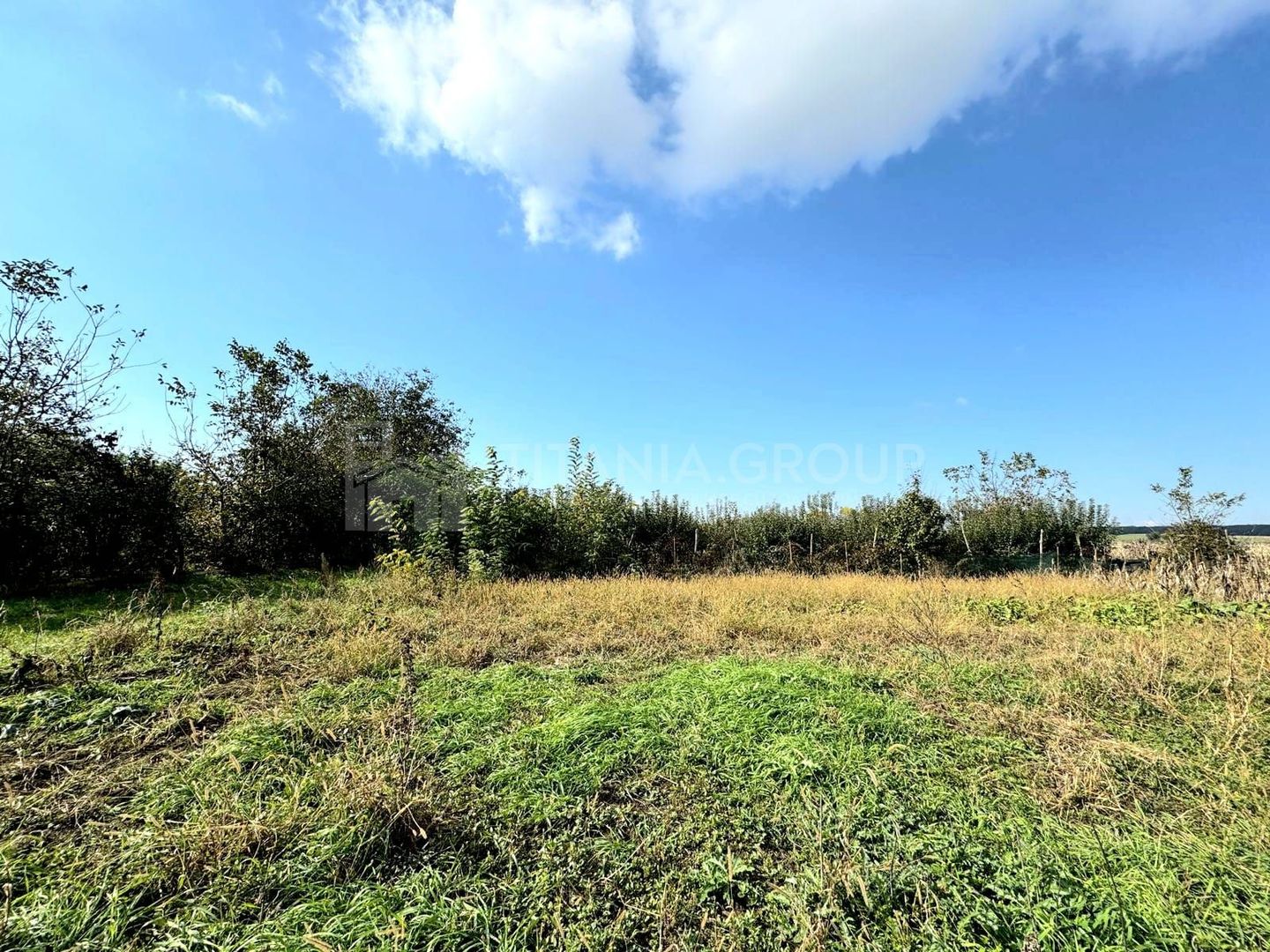 Livada+gradina, teren intravilan 2902mp, Damienesti-Bacau, comision 0 - Poză 9