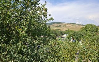 Teren de vanzare in Valcele - Poză 4