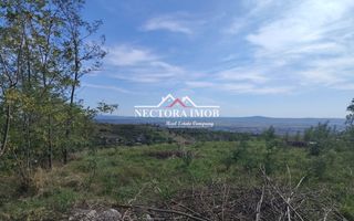 NECTORA IMOB-Teren Saldabagiu de Munte, 2350 mp, 21 ml front stradal - Poză 4