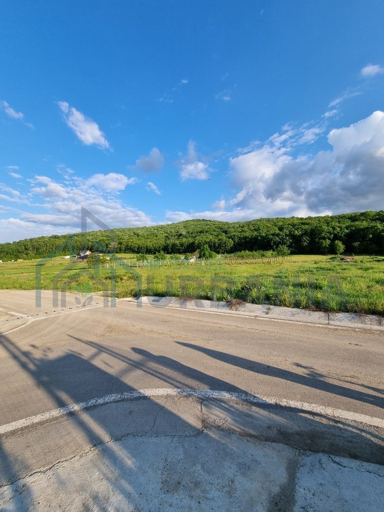 Teren intravilan de vanzare in Tomesti, Chicerea – 2 parcele cu utilitati in zona - Poză 4