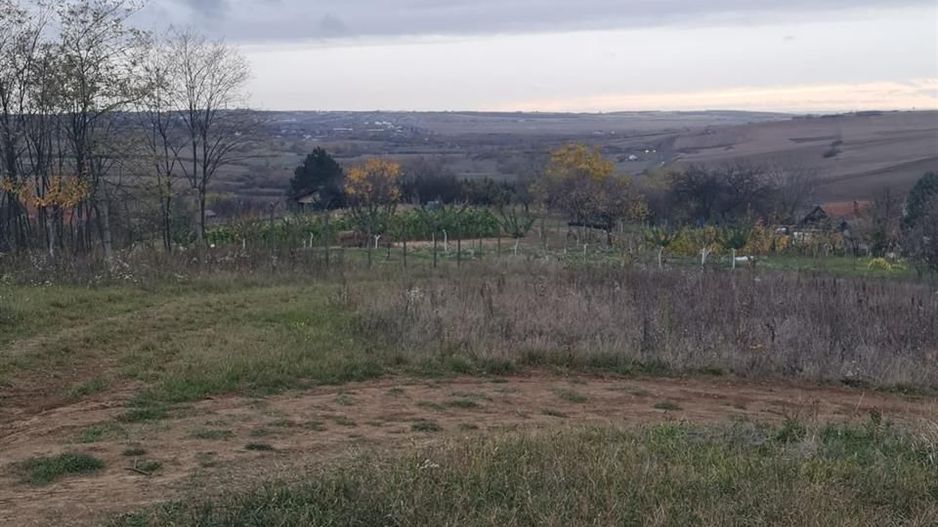 Teren Cetariu 9900 mp - Poză 7