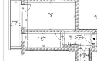 Un refugiu luminos în inima verde a Iancu Nicolae - Poză 9