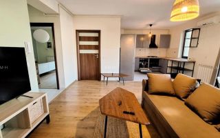 De vânzare – Apartament 2 camere, Family Vila 2 – Ghencea - Poză 4