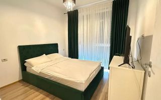 Apartament 3 camere Dumbravita parter cu terasa - Poză 3