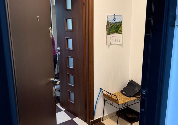 2 camere Piata Minis, etaj 2, pet friendly, pret negociabil - Poză 7