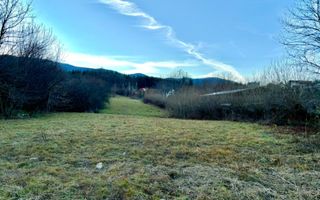 Teren Intravilan | 4700 MP | 2 fronturi stradale | Sadu - Poză 1