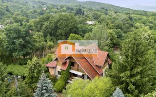 Vedere directa la Padure, 5000mp teren, Vila D+P+1E+M, semineu, foisor - Poză 4