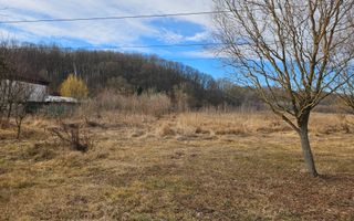 Vanzare teren Labusesti, langa padure - Poză 1