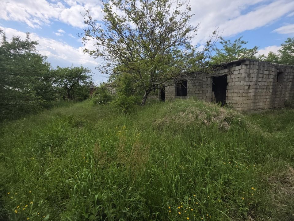 De Vânzare 19 ari Teren Lipău - Poză 2