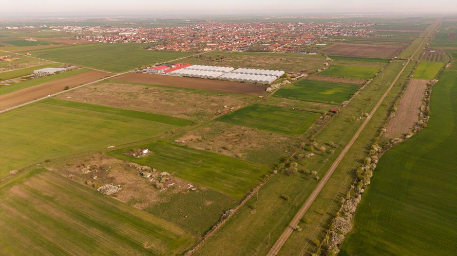 Teren intravilan 6150 mp – Sânleani, jud. Arad - Poză 2