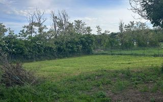 SAT CERCHEZU Casa 4 camere cu gradina! - Poză 5