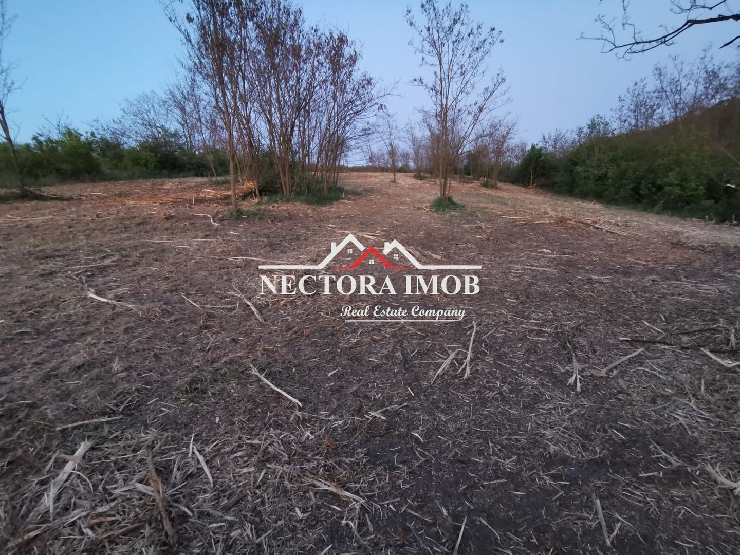 NECTORA IMOB-Loturi de teren 500 mp,Zona Saldabagiu de Munte-Lac Paleu - Poză 4