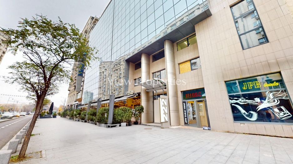 Calea Victoriei - Piata Victoriei - Birouri de inchiriat - Poză 1