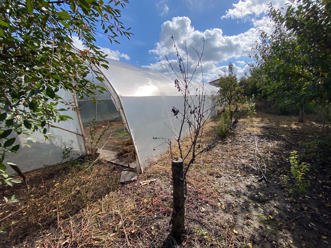 Casa in Dudestii teren 2712 mp - Poză 9