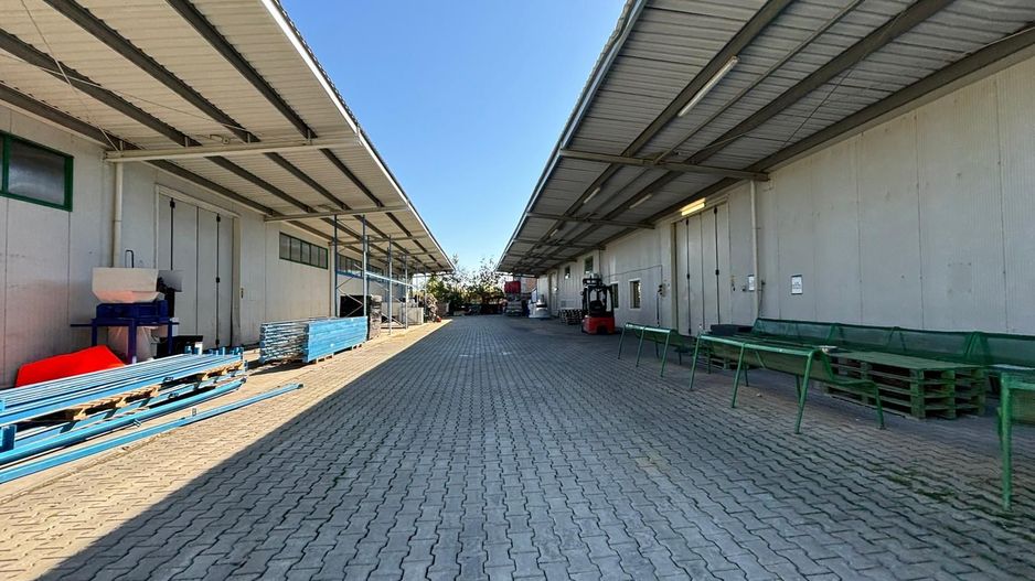 Hala 5000 mp dotata pentru productie si depozitare ISU categoria D - Poză 49
