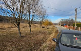 Vanzare teren Labusesti, langa padure - Poză 6