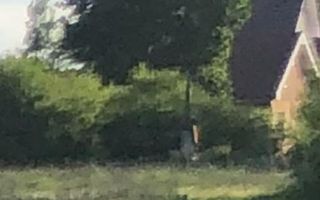 Ag EUROPA vinde 3153mp teren INTRAVILAN langa SOSEA la iesirea din Doba. - Poză 3