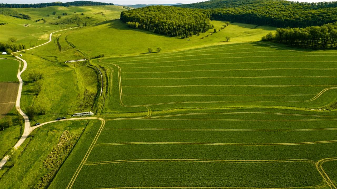 Portofoliu funciar de exceptie: 23.669 mp teren extravilan Sangiorgiu, Mures - Poză 3