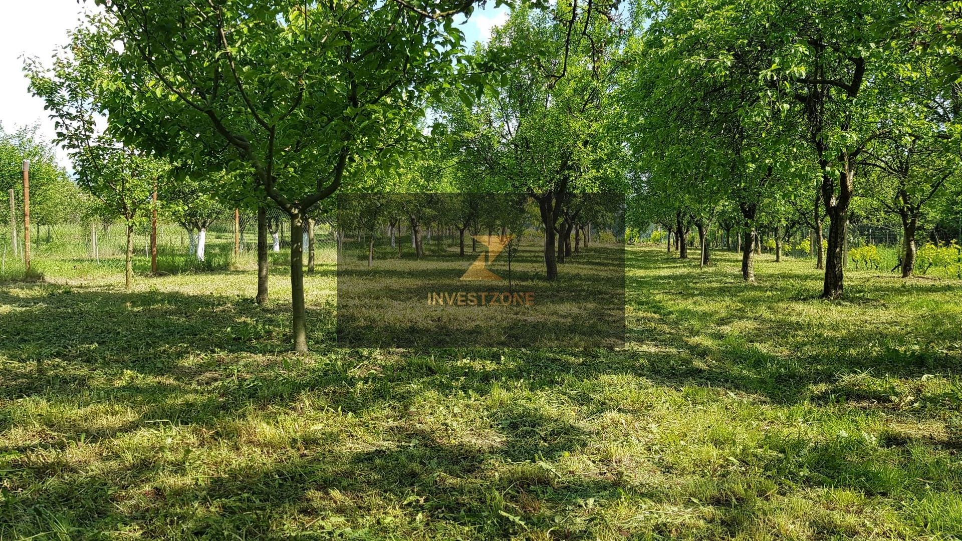 Teren cu utilități 2052 mp - Oradea - str. Făgetului - Poză 17