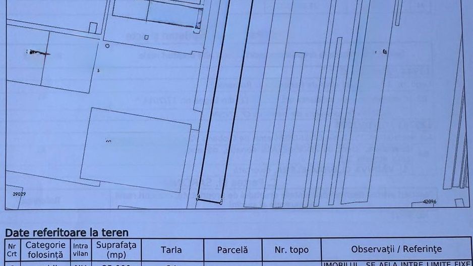 De Vânzare: Teren 25.000 mp – Drumul Vama Giurgiu – Oinacu - Poză 3