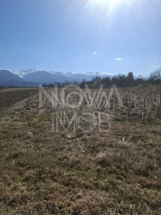 Teren extravilan de vanzare - Arpasul de Sus - Poză 4