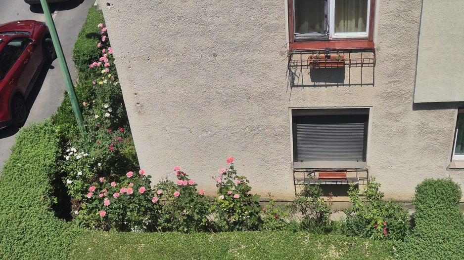 Centru Civic, apartament pet friendly - Poză 9