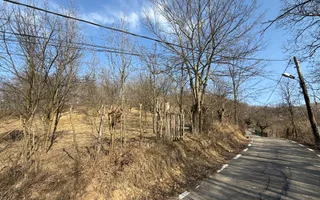 Teren intravilan 2788 mp deschidere 55 ml cu vedere panoramica ! - Poză 13