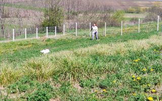 De închiriat: Teren comercial 1500 mp, Mogoșești, DJ 248C, utilități - Poză 5