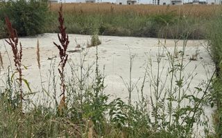 TEREN VIDRA BERCENI 307 MP - Poză 3