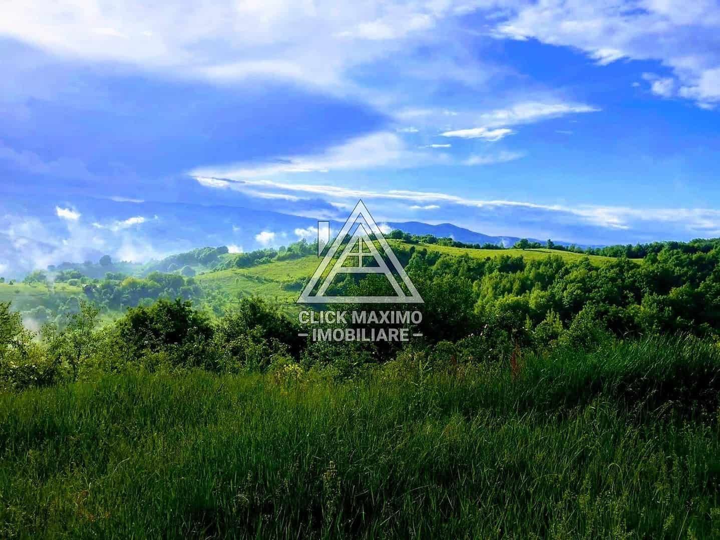 CASĂ și TEREN 85.000 mp – Casa părintească Părintele Arsenie Boca - Poză 10