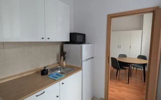 Apartament de închiriat cu 1 cameră în zona Parcul Feroviar și Gară - Poză 5