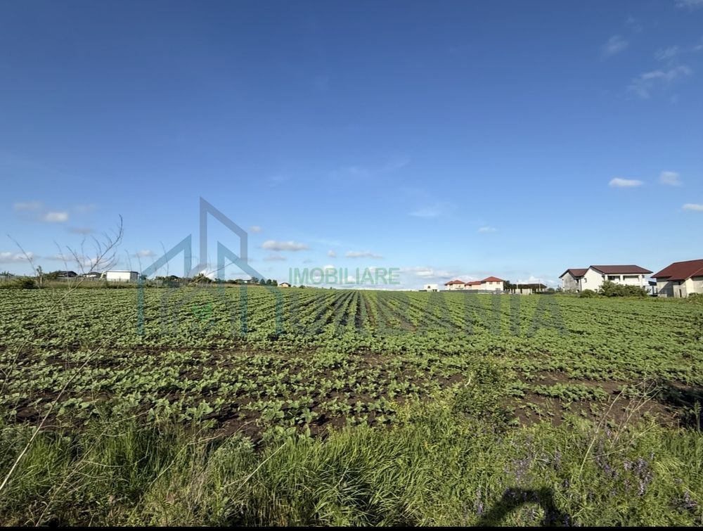 TEREN REDIU 8.445 MP – PLATOUL BELDIMAN–drum comun – dubla deschidere – case sau locuințe colective - Poză 5