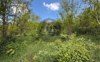 Teren constructii Medias - Poză 8