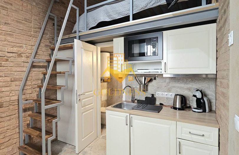 Studio tip loft, UltraCentral, Piața Muzeului, Piața Mihai Viteazul - Poză 4