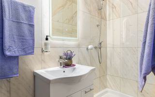 Vila Superba 360 mp - LOT 510 mp - Parcul Circului - Lacul Tei - Poză 24