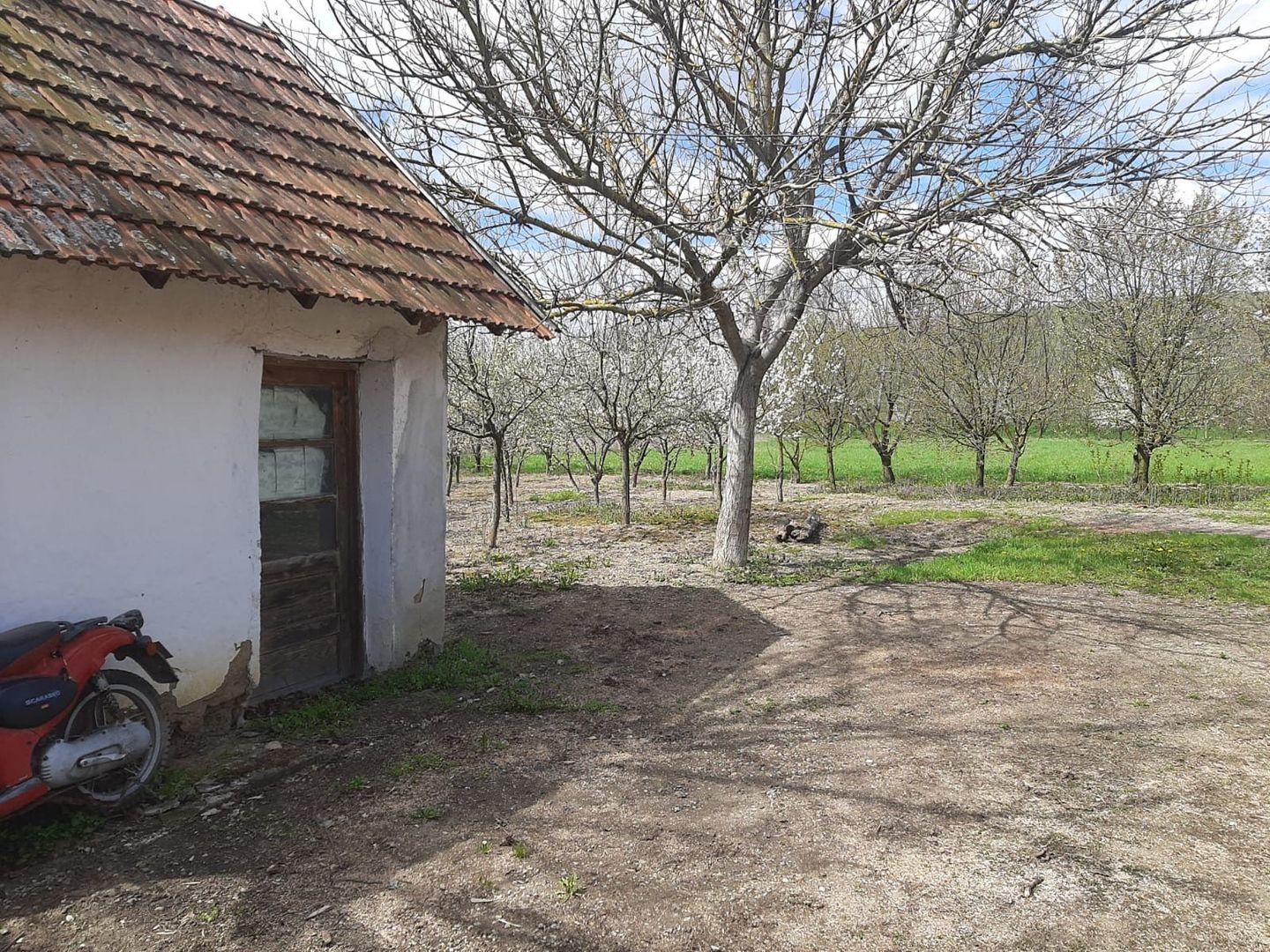 Casă cu teren generos la Bodo - Poză 7
