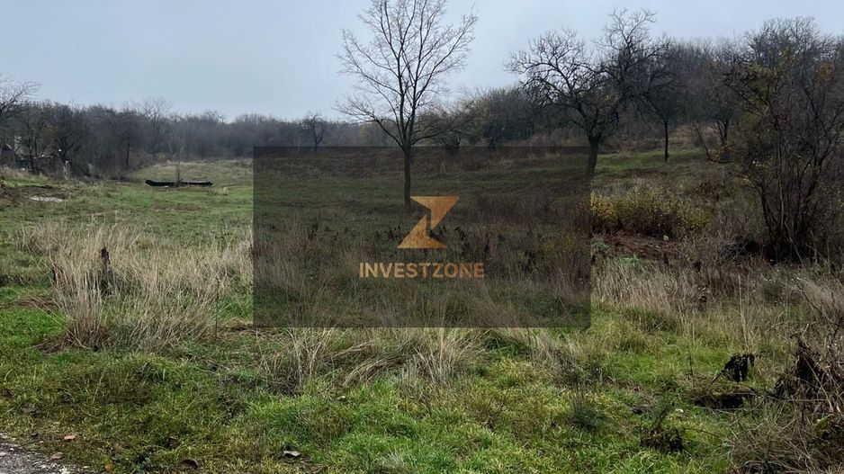 ⭐  Teren de 2.700 mp cu front generos – Ocazie în Oncea - Poză 3