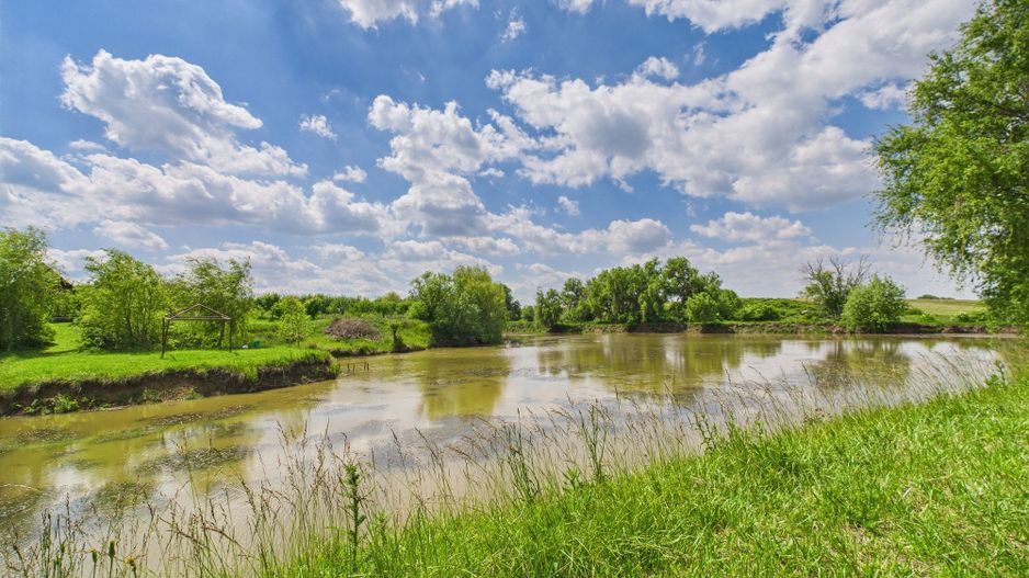 Teren cu baltă- oportunități multiple la Fibiș - Poză 30