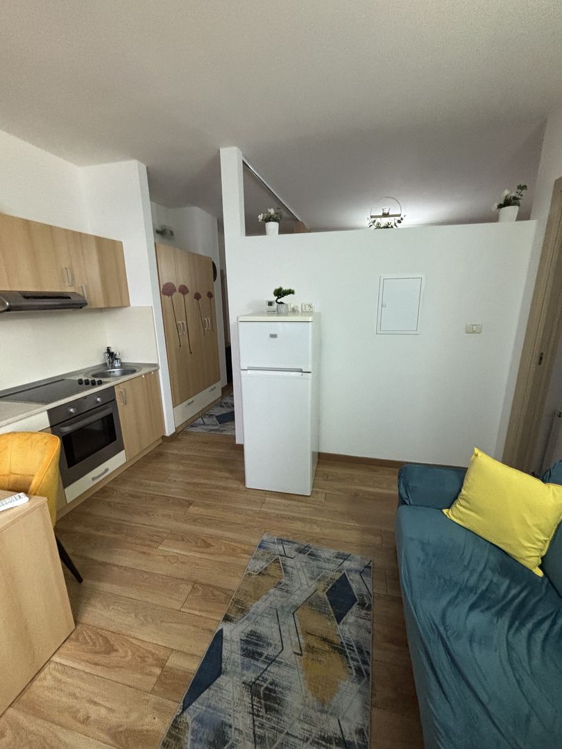 Apartament 1 cameră generos zona Complex - Poză 11