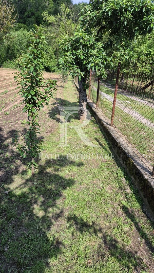 Casa cu 6 camere | Sitari | Bihor - Poză 11