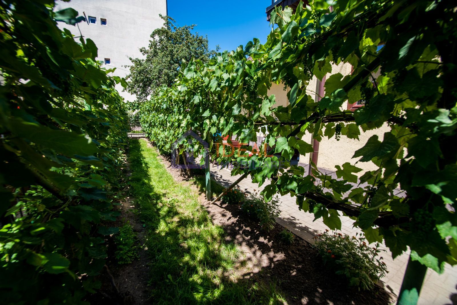 Casa Individuala cu 8 camere si 430 mp de curte, zona Calea Poplacii - Poză 31