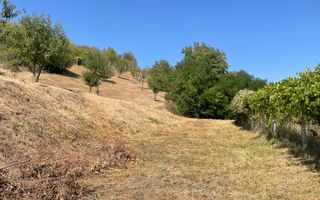 Teren intravilan 2700mp-ideal case-panoramic-Viisoara-Exclusivitate - Poză 5