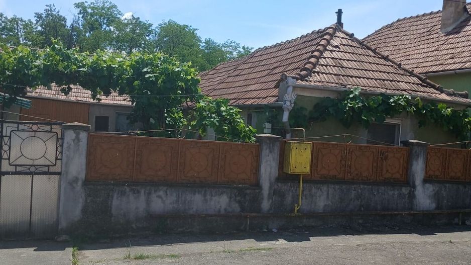 CASA DE VANZARE in TARTARIA - Poză 1